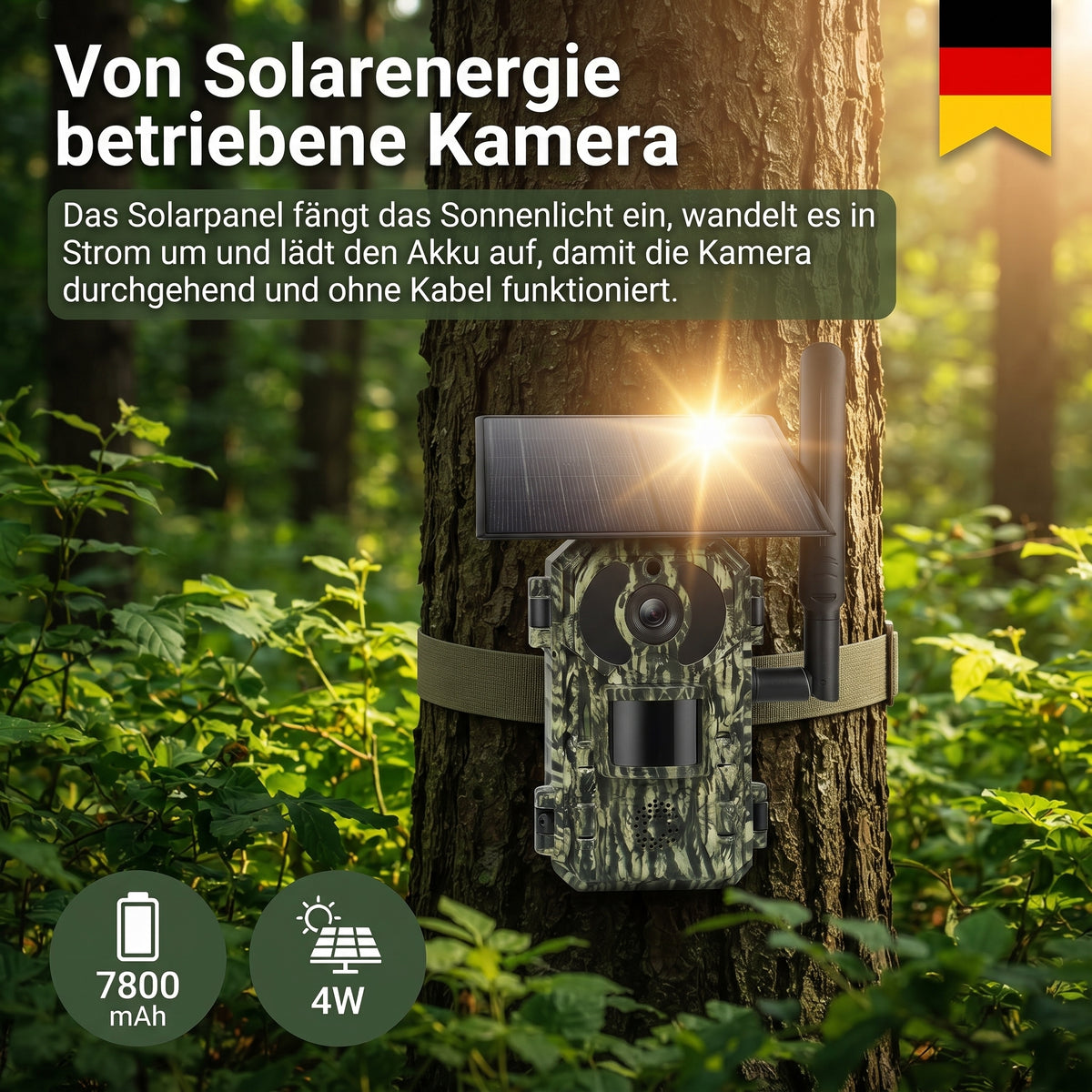 4G-Solar-Wildkamera 4K